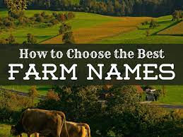 Unique Farm Names